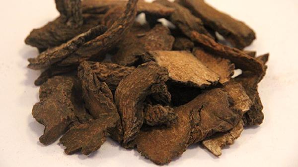 脸上长好多痘痘是梅毒症状吗？| 健康科普解答